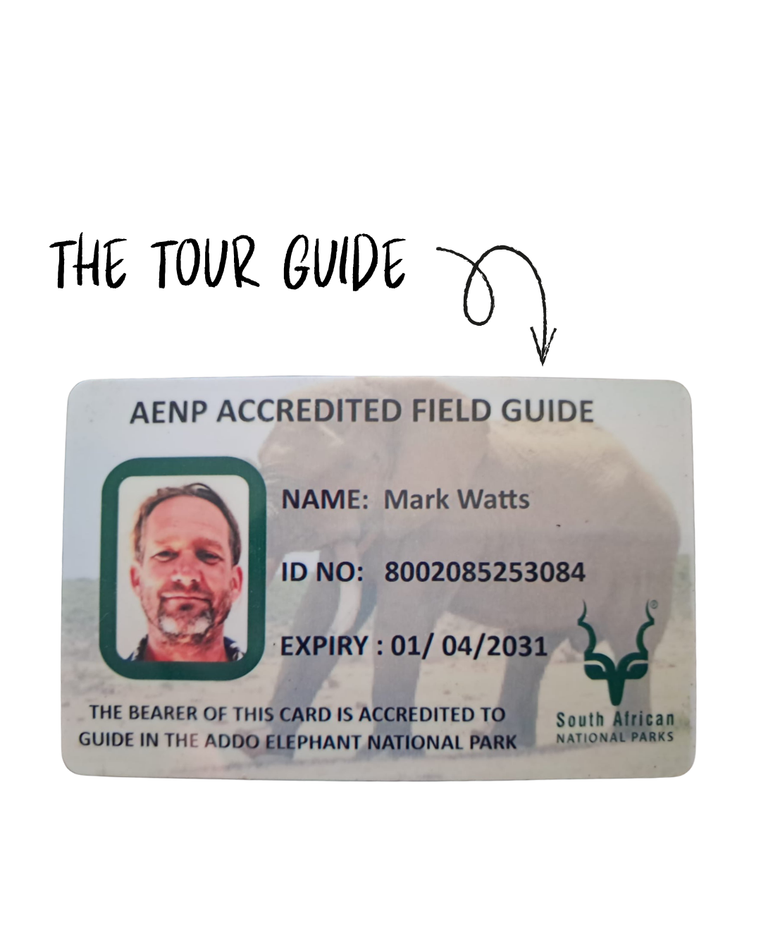 Mark Watts, accredited field guide
